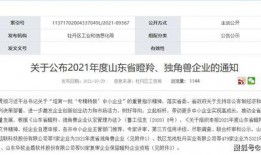 山东企业爆料最新消息,揭秘行业变革背后的秘密